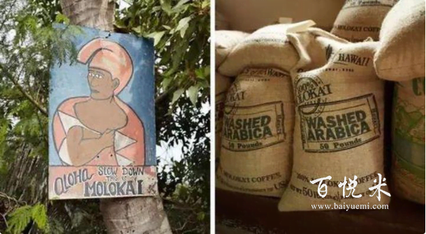 世界排名前十的咖啡是什么?帶你來了解一下